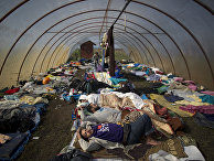 Syrian people sleep inside a greenhouse at a makeshift camp for asylum seekers near Roszke, southern Hungary. Tens of thousands of people trying to escape conflict and poverty in places like Syria and Afghanistan